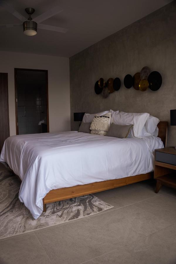 Fancy 3 Bedroom Apartments In Downtown Playa Rooftop Pool Gym Playa del Carmen Luaran gambar